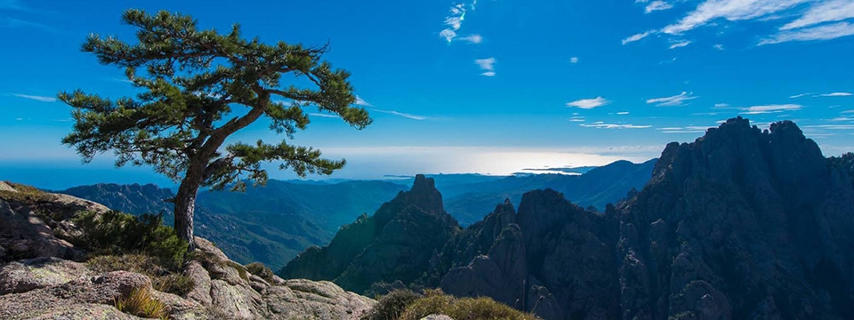 Corse Aiguilles de Bavella - location villa Calita Porto-Vecchio